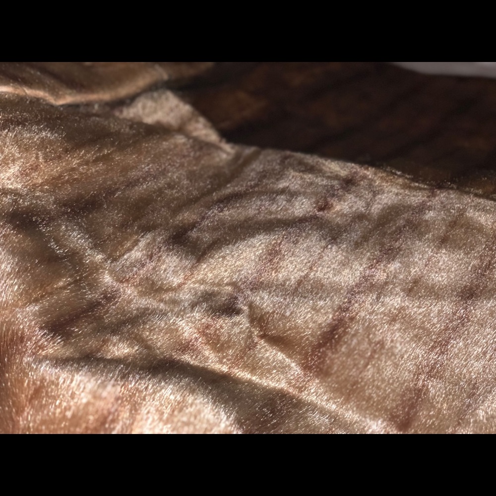 Coat - Picture 3 of 4